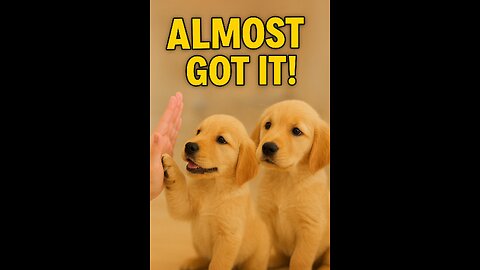 Golden Retriever Trick Fail 🐾😂 | Handshake & High Five Gone Wrong