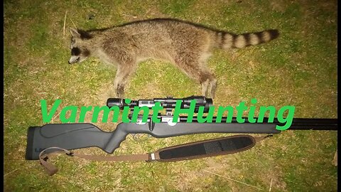 Varmint Hunting Part 1