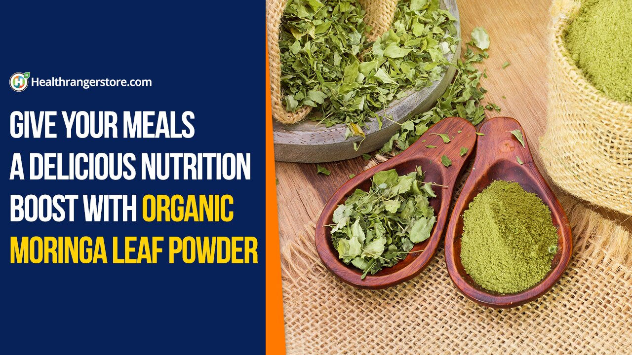 Give your meals a delicious nutrition boost with Organic Moringa Leaf Powder