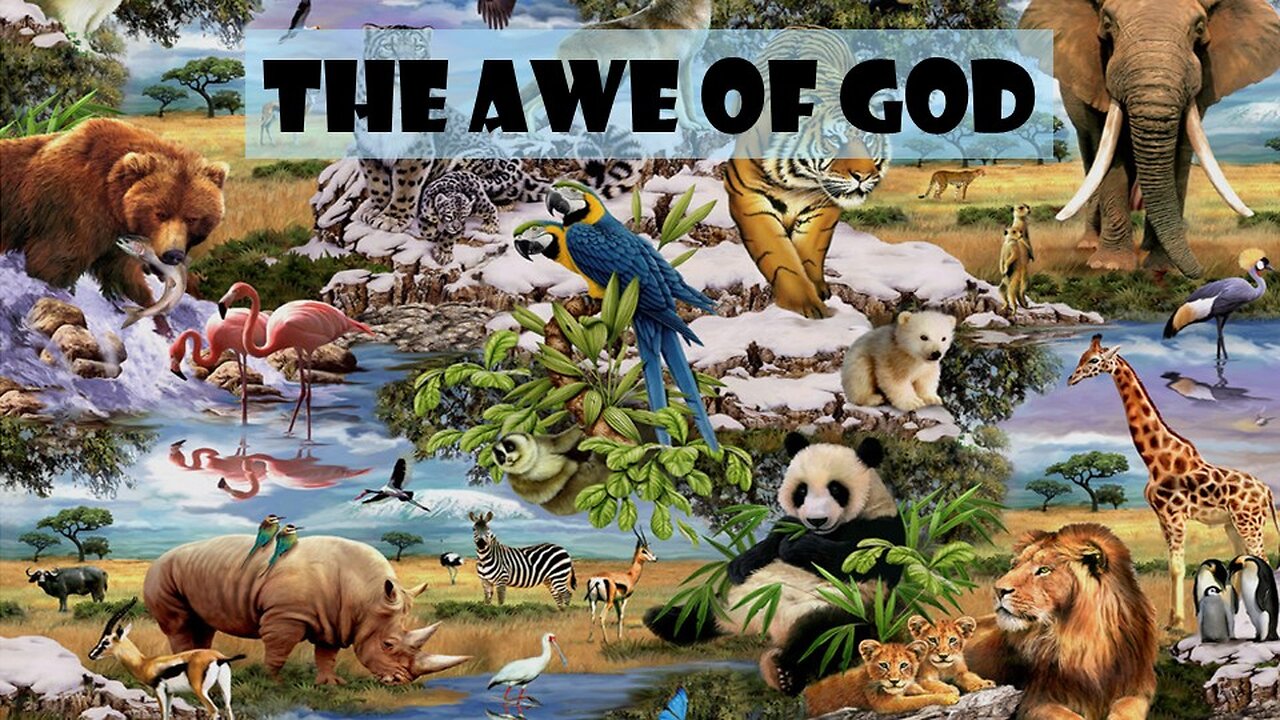The Awe of God, part 2