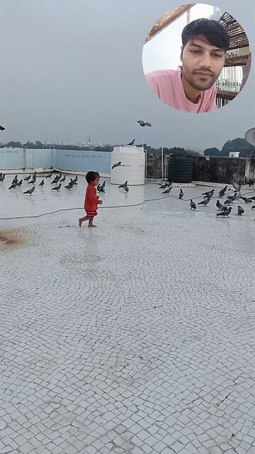 jivdaya mehsana 🥰🥰🥰