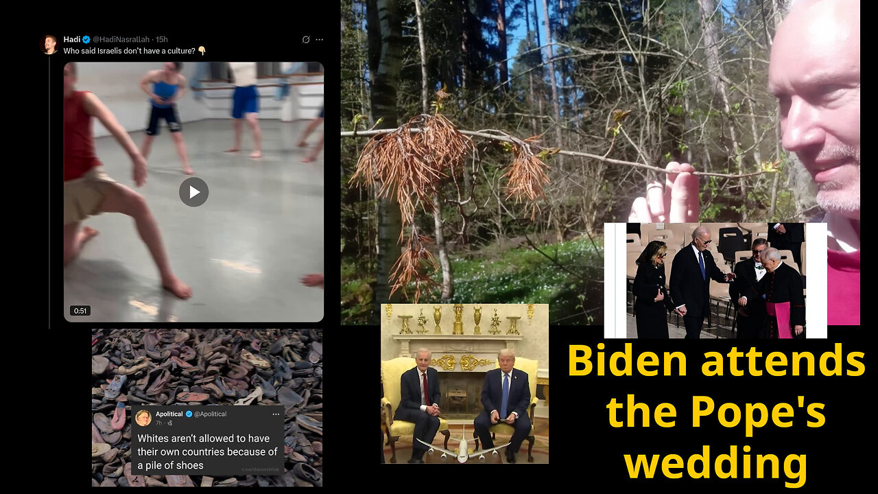 Food. DMSO cured Wolf. Anti EV-propaganda. Community Notes. Stefanik supports terrorist over Jews