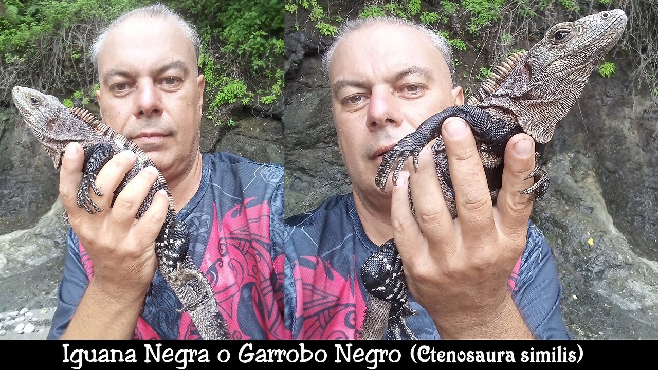 My first experience with Black Iguana (EN&ES subtitles)