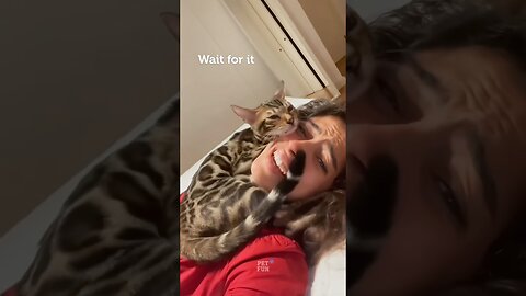 Funny Animal Videos #funnyanimals #animals #pets #shorts