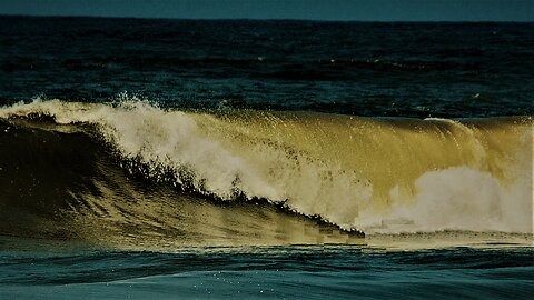 With palms and waves