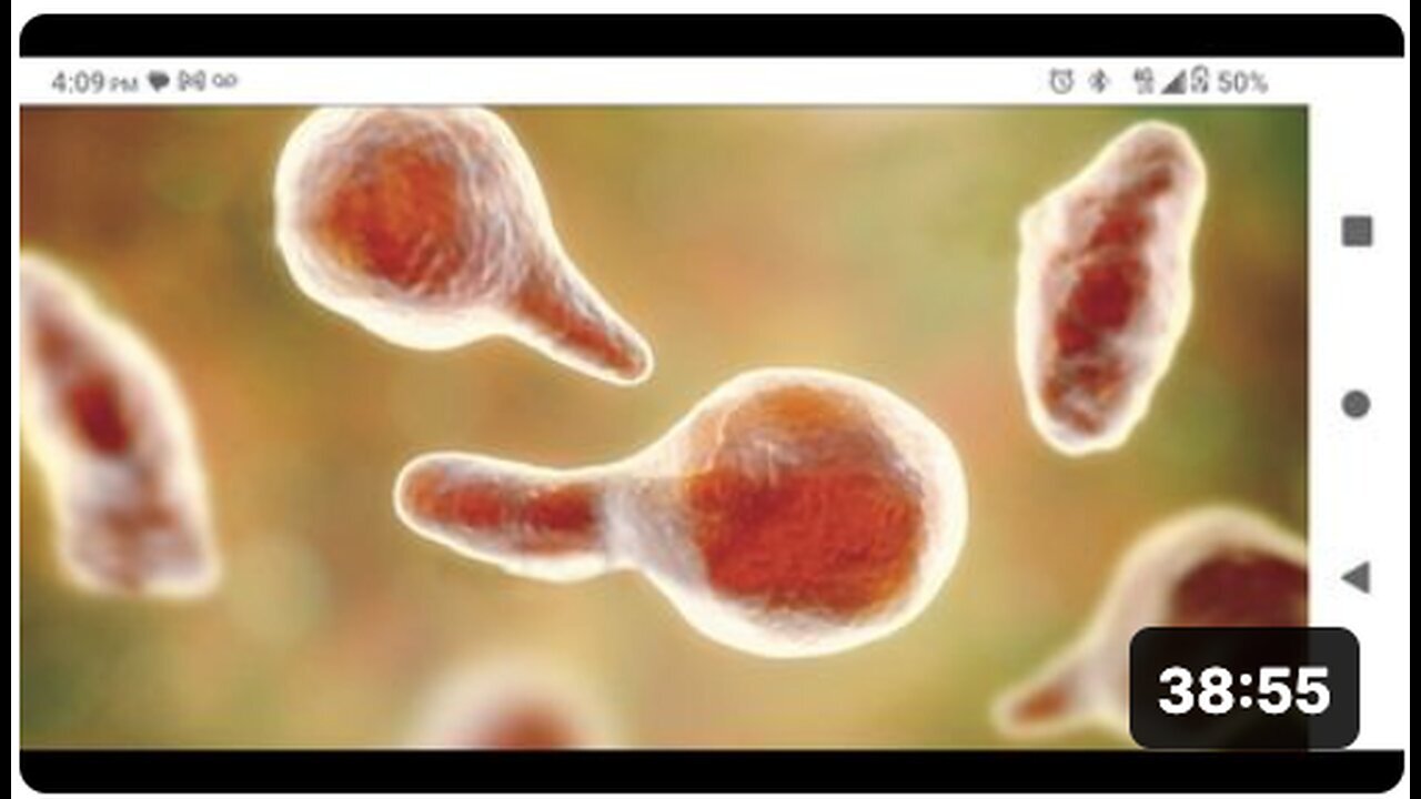 "Both Terrain Theory and 'Virus' (Bio) Theories are Correct"