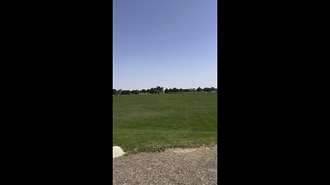 A nice day at the park