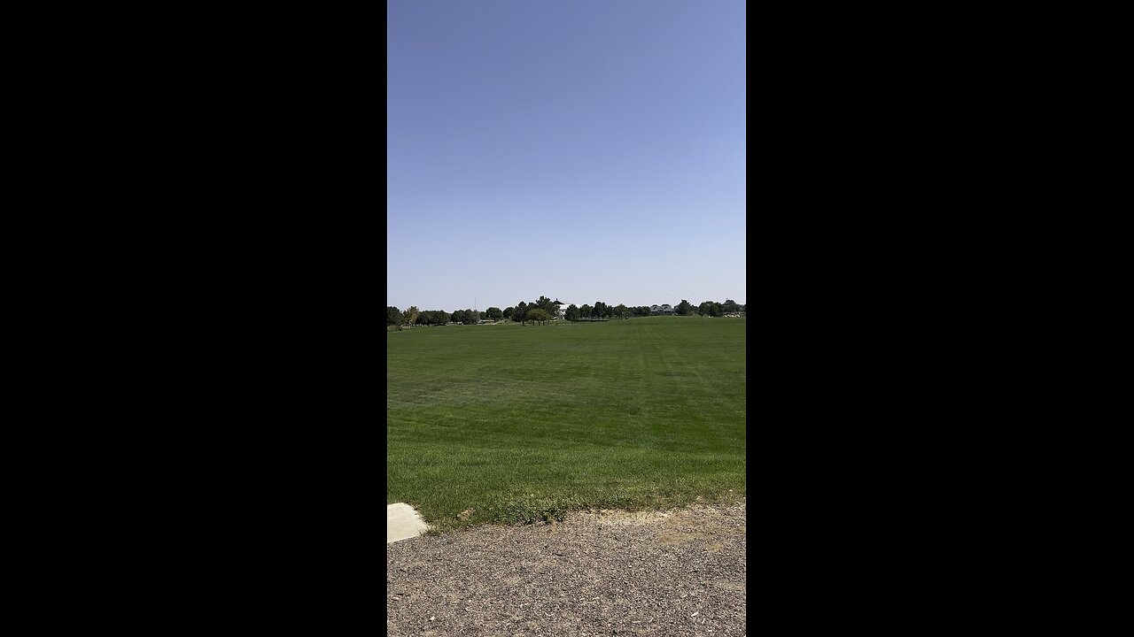 A nice day at the park