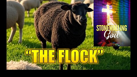 Stonewalling God Show - "The Flock"
