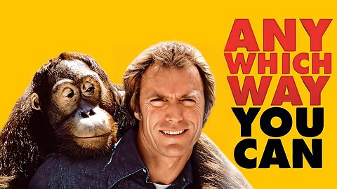 Any Which Way You Can (1980)