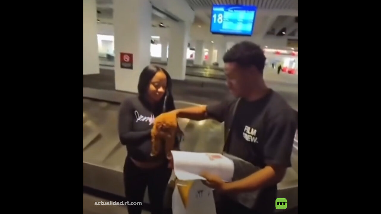 Un hombre impide que viajen con su perro sin transportadora