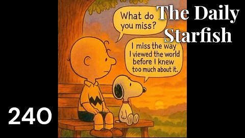 The Daily Starfish #240 #news #viral #shorts