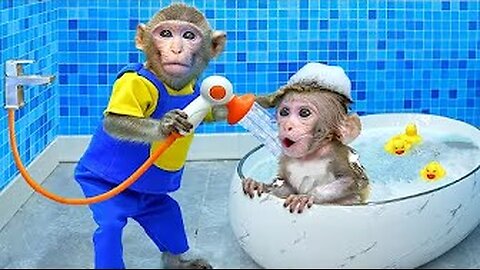 KiKi Monkey take care of Naughty Baby - Time to take a bath