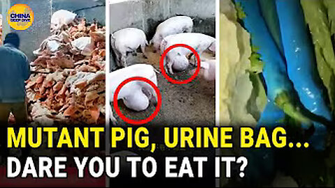 CCP's Special Supply Base vegetables with archives -caaeW_BKS00