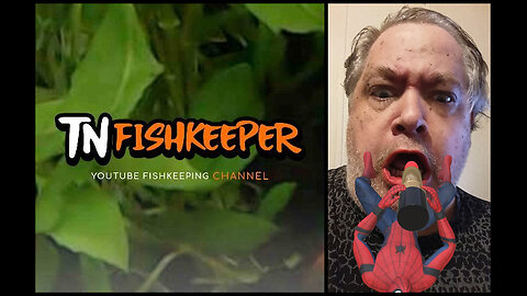 TNFISHKEEPER.COM™ 🐠 SPIDERMAN LIP GLOSS #COMEDY