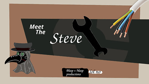 Meet the Steve