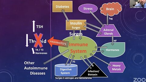 Weight loss and inflammatory foods