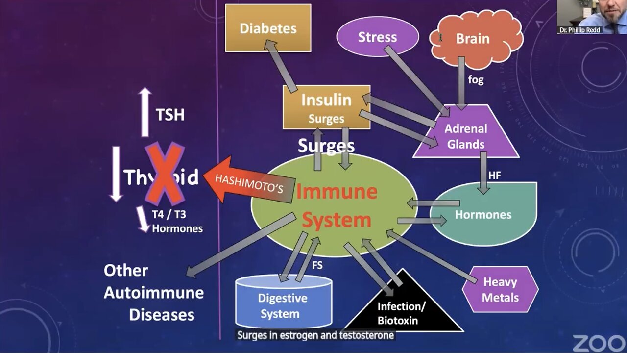 Weight loss and inflammatory foods