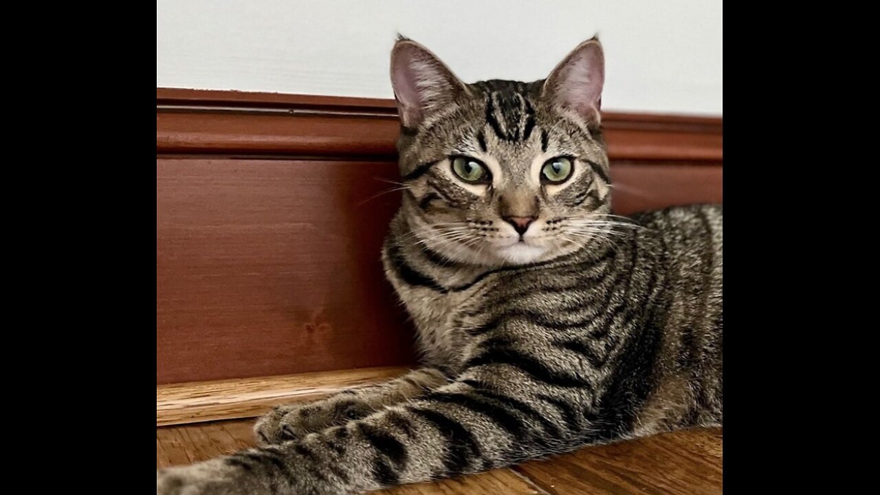 Episode 3072 CWSA - The Scott Adams School 01/14/26