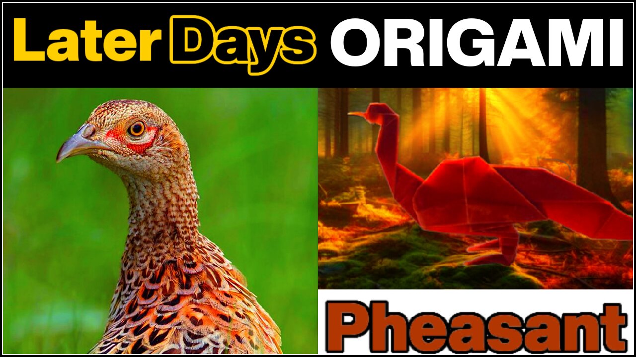Later Days ORIGAMI: Pheasant