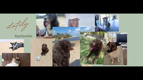 My little business last few weeks :)