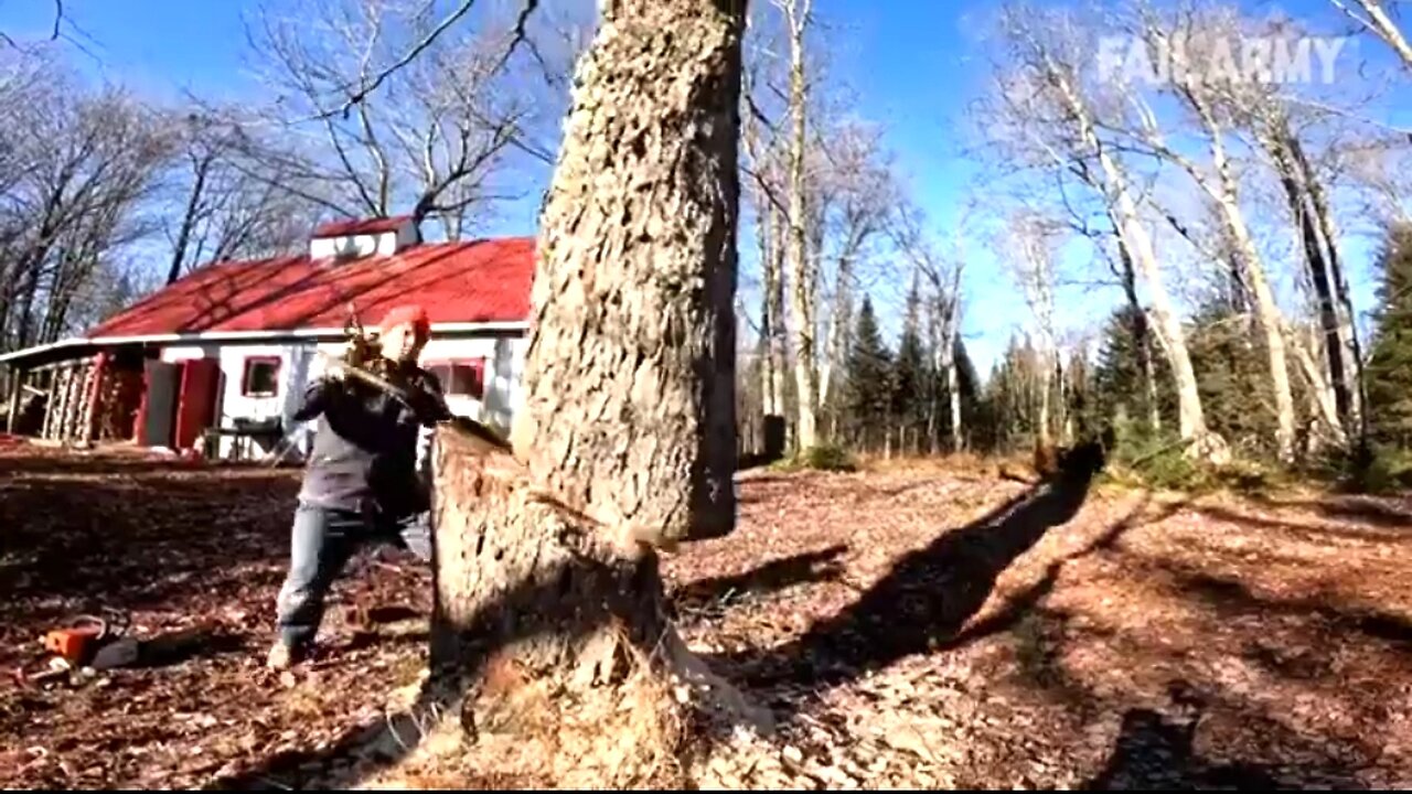 PEOPLE BEING IDIOTS: STUPIDITY AT ITS BEST - FAILARMY 😂