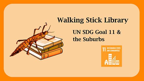 UN SDG Goal 11 & the Suburbs