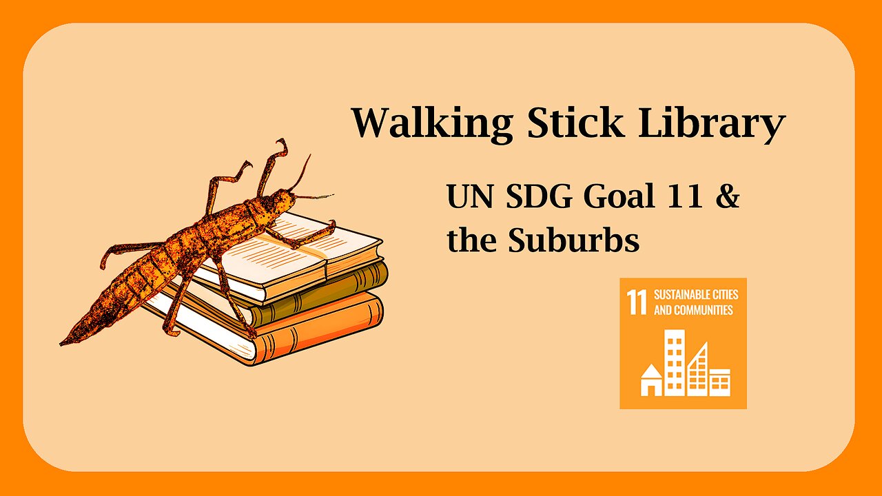 UN SDG Goal 11 & the Suburbs