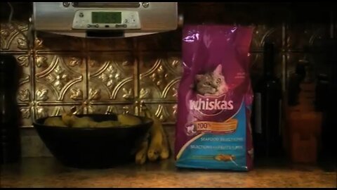 Whiskas CatFood Commercials Mostly 90’s