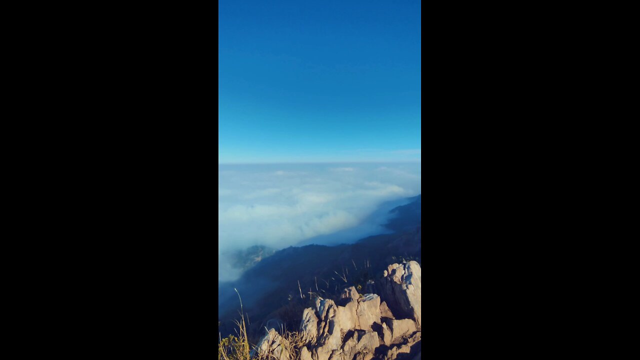 the view