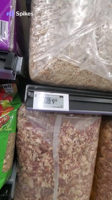 Guinea Pig supplies: Walmart vs. Petco