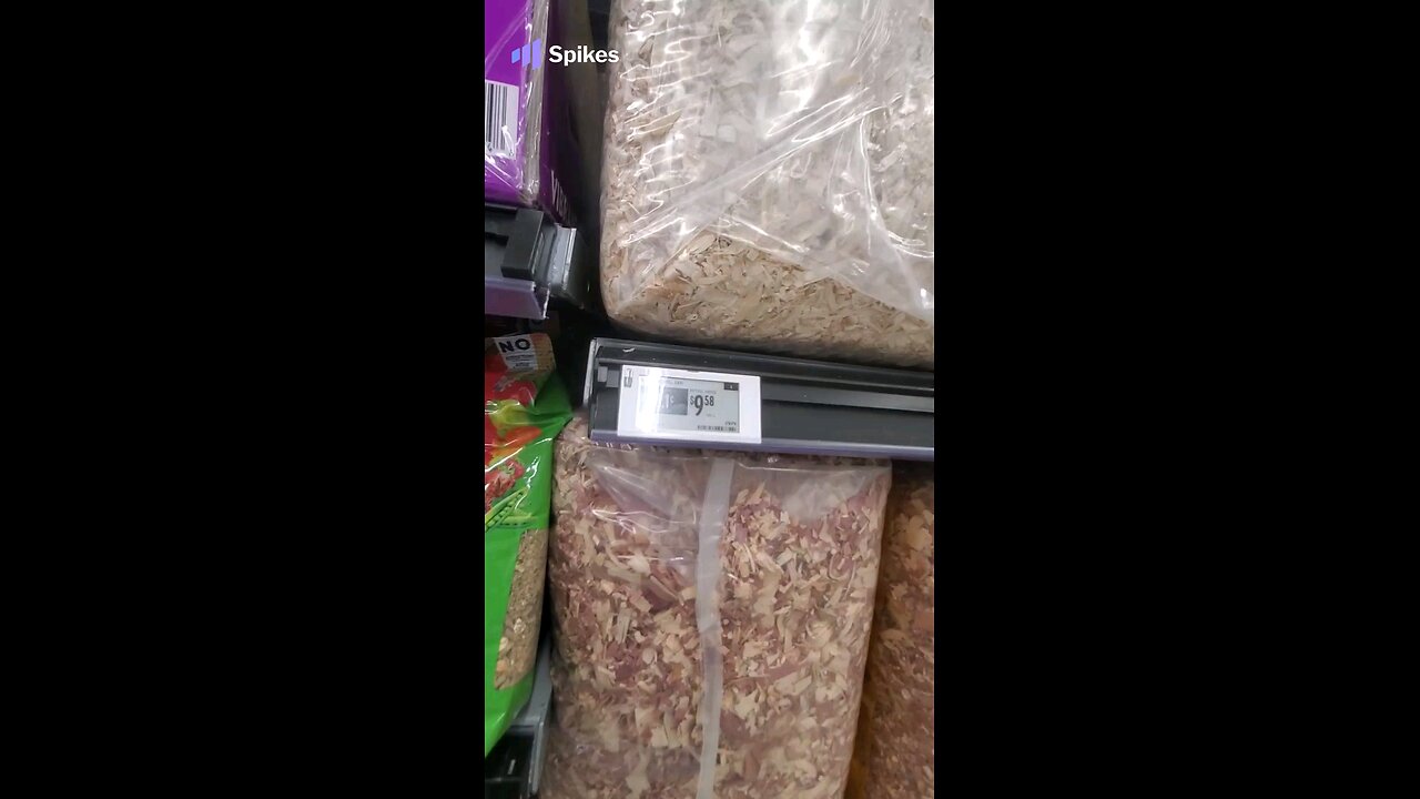 Guinea Pig supplies: Walmart vs. Petco