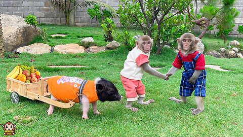 How YinYin and Un In apologize when make YiYi sad
