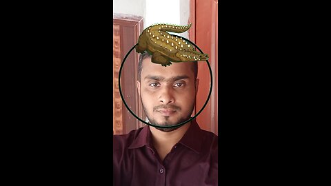 এই কুমিরটি সঠিক জায়গায় বসান #reels #puzzle #viralreels #tending #foryou
