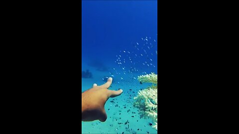 See ya