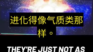 关于NPC的最佳解释……