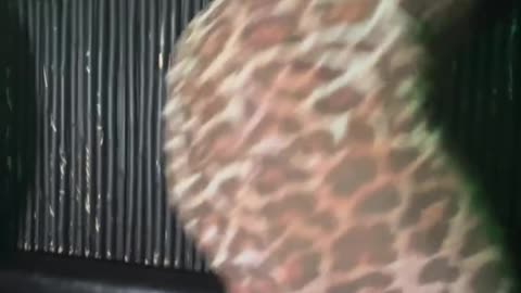 TWERK THAT THANG SHAWTY