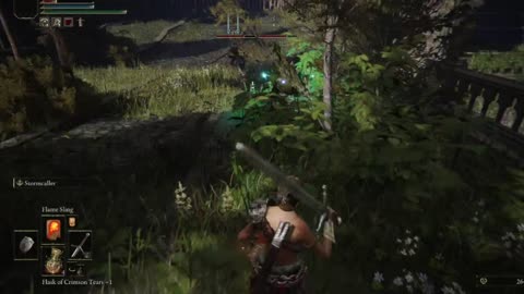 Elden Ring Adventures: Oh i think not