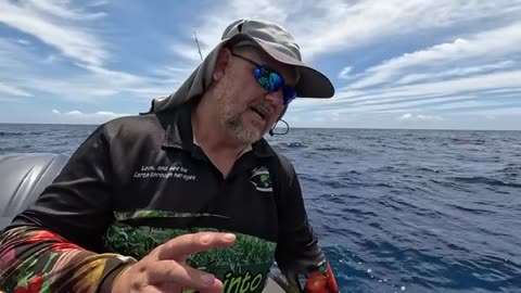Fishing Our Local Reef with Natural Burley Non-Stop Action! (1)