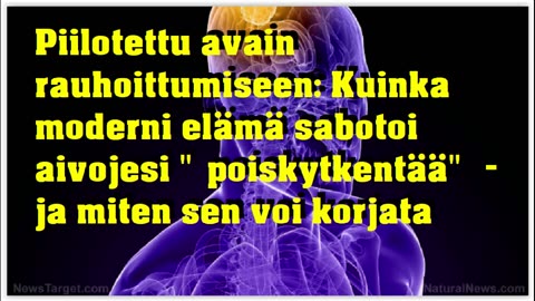 Piilotettu avain rauhoittumiseen - kuinka moderni elämä sabotoi aivojesi poiskytkentää