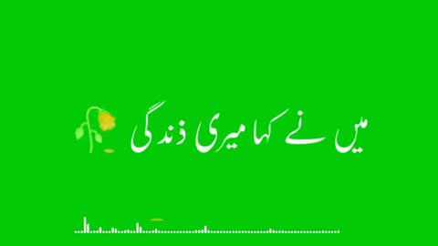 Love shayri