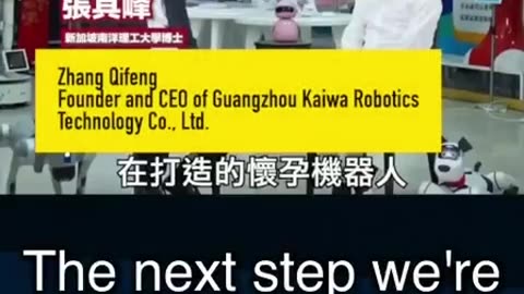 👿 World's first "Pregnancy humanoid robot" to launch within a year, set at less than $14k.