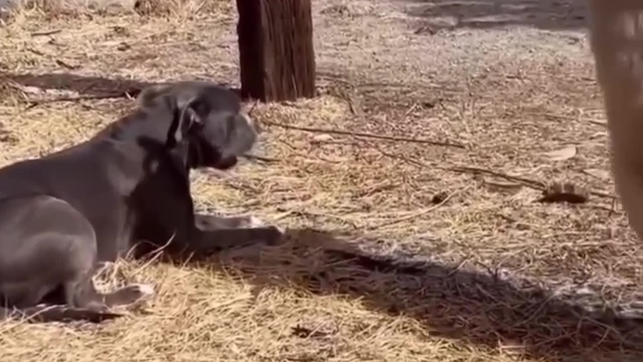 Funny