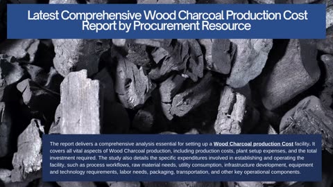 Wood Charcoal Production Cost Analysis Report