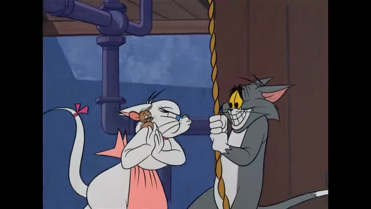 Tom & Jerry | Animal Moms! 🦆🐔