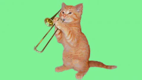 funny moment pets animal dancing 2025