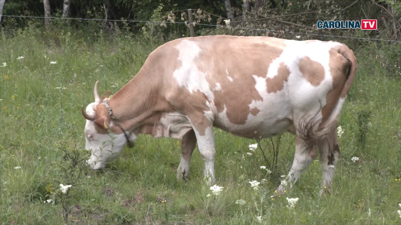 Aici nu există plictiseală
