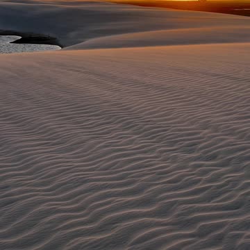 Scuba Divers Exploring Vibrant Underwater World
