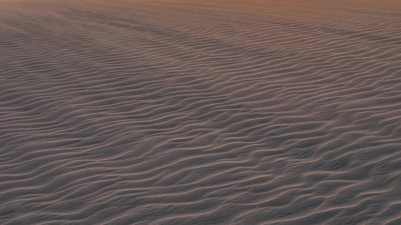 Scuba Divers Exploring Vibrant Underwater World