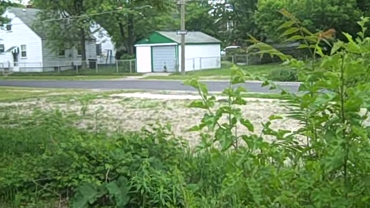 BIG AL_S FIND ON THE SHEA SHOW